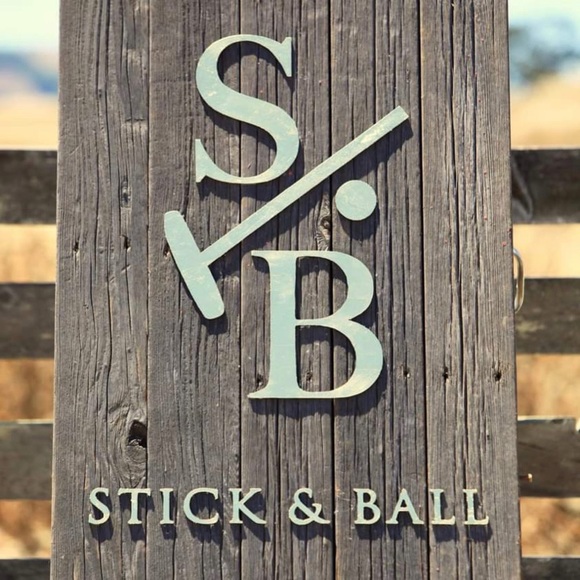 Stick & Ball  Exclusive Polo Silk Scarf NWT - Picture 12 of 13